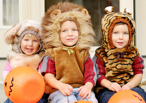 Los Angeles Family Photographer